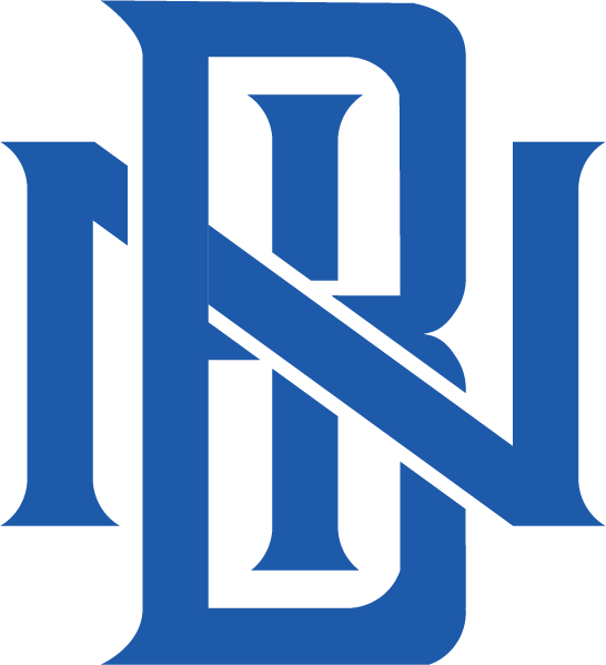 BIN -  Youth Posi-Charge Dinger Hooded Pullover