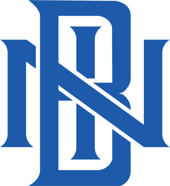 BIN -  Youth Posi-Charge Dinger Hooded Pullover